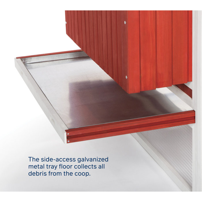 Archie & Oscar™ Hermione 33.93 Square Feet Chicken Coop with Chicken